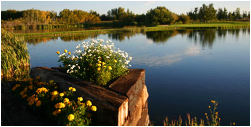 Goose Lake, Roblin Manitoba